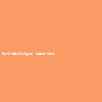 Reichhaltiger Samt-Hut