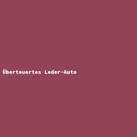 &Uuml;berteuertes Leder-Auto