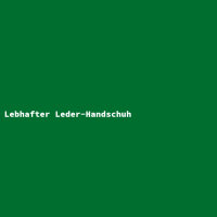 Lebhafter Leder-Handschuh